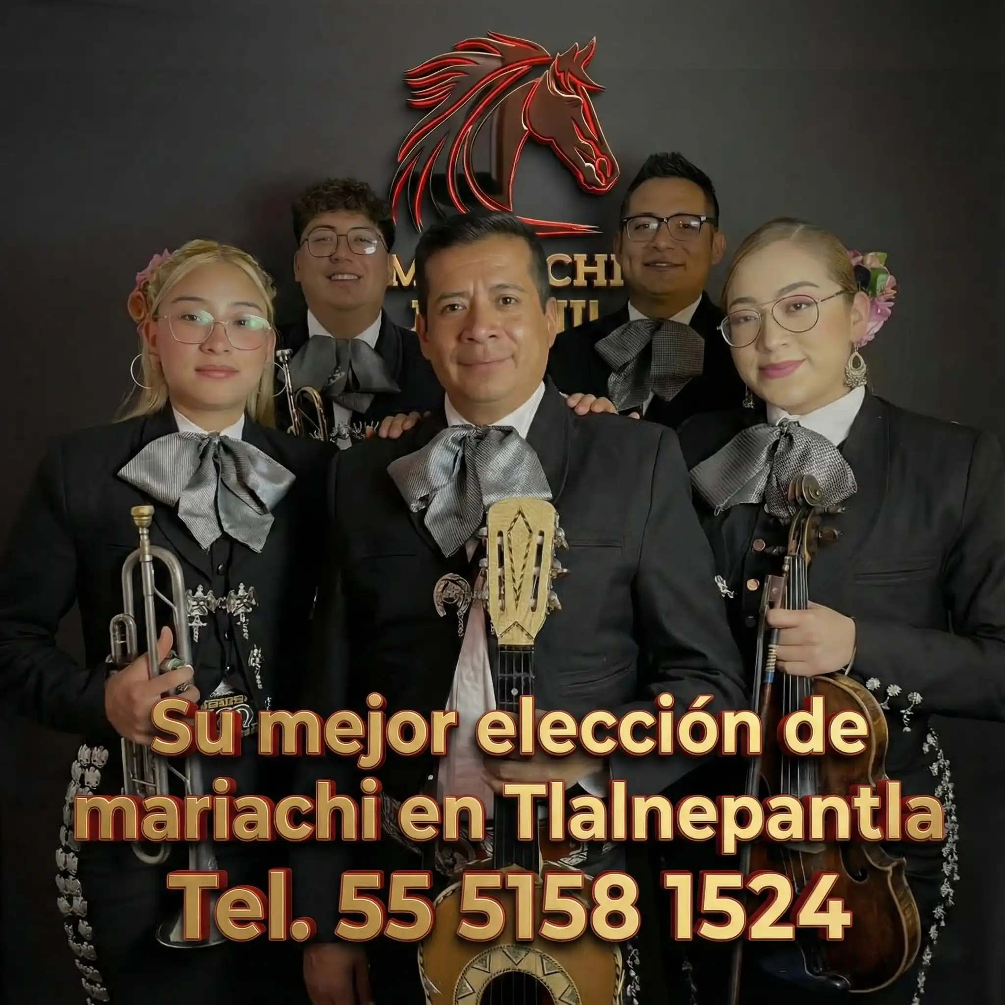 Mariachis de Calidad Profesional Tlalnepantla
